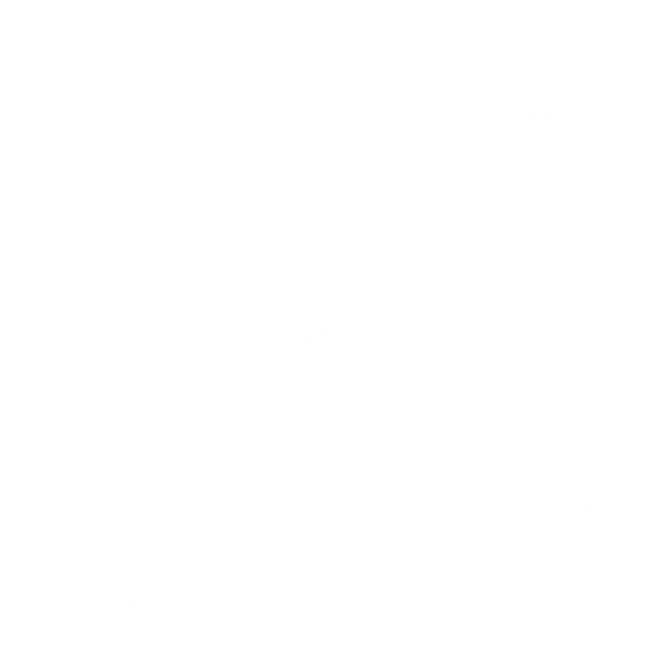 Shining Stars